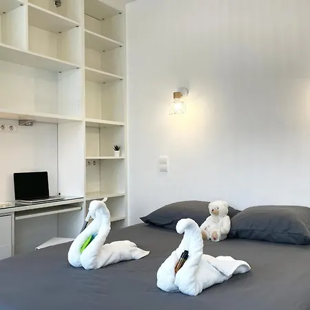 公寓 Le Palais Des Glaces - Hypercentre - Port *