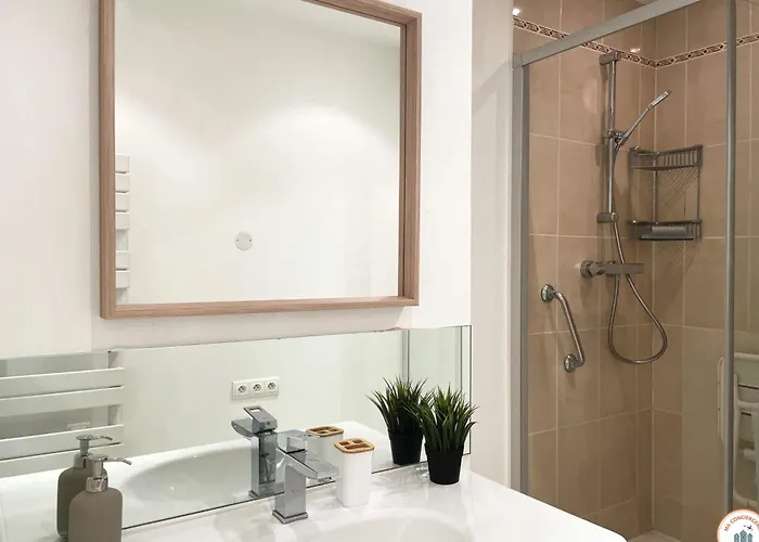 Le Palais Des Glaces - Hypercentre - Port 公寓 凯恩