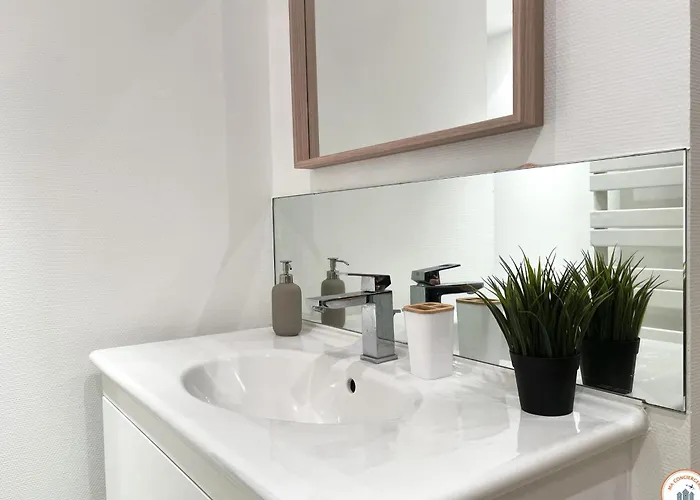 Le Palais Des Glaces - Hypercentre - Port